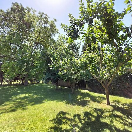 Country Residence Near Vienna Stillfried Екстер'єр фото